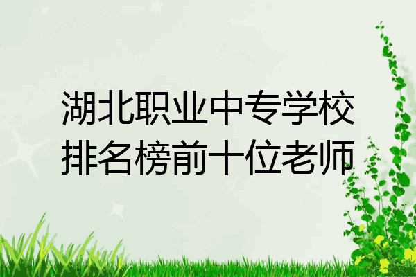 湖北职业中专学校排名榜前十位老师