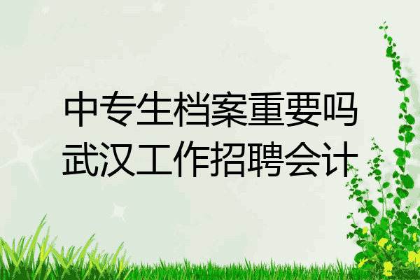 中专生档案重要吗武汉工作招聘会计