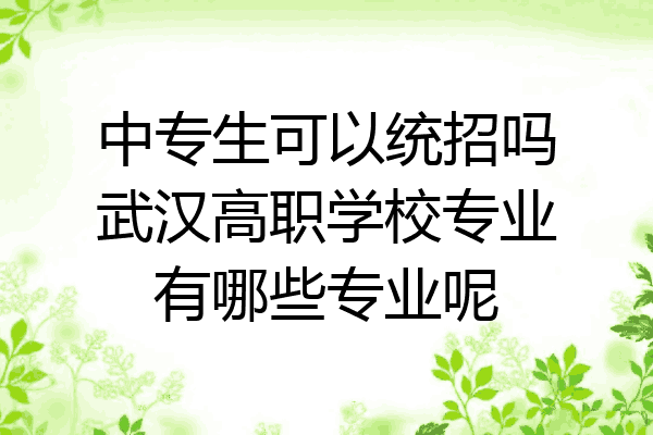 中专生可以统招吗武汉高职学校专业有哪些专业呢