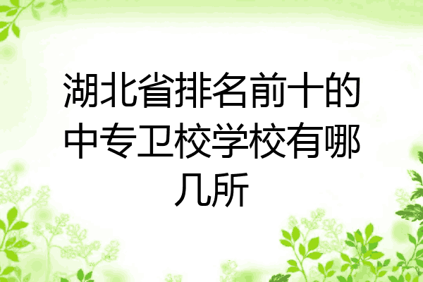 湖北省排名前十的中专卫校学校有哪几所