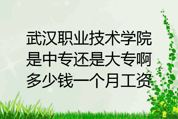 武汉职业技术学院是中专还是大专啊多少钱一个月工资