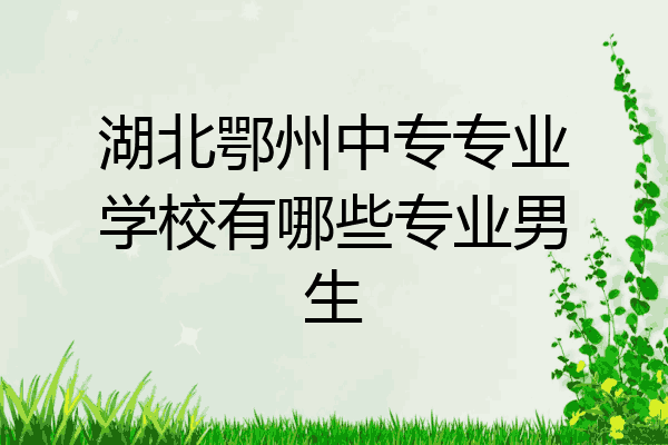 湖北鄂州中专专业学校有哪些专业男生