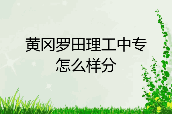 黄冈罗田理工中专怎么样分