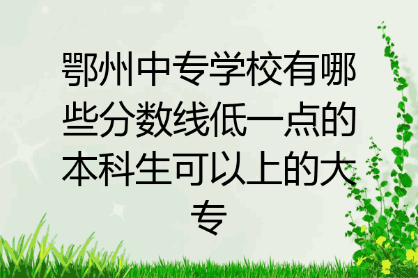 鄂州中专学校有哪些分数线低一点的本科生可以上的大专