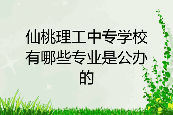 仙桃理工中专学校有哪些专业是公办的