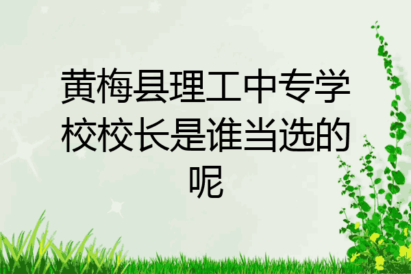 黄梅县理工中专学校校长是谁当选的呢