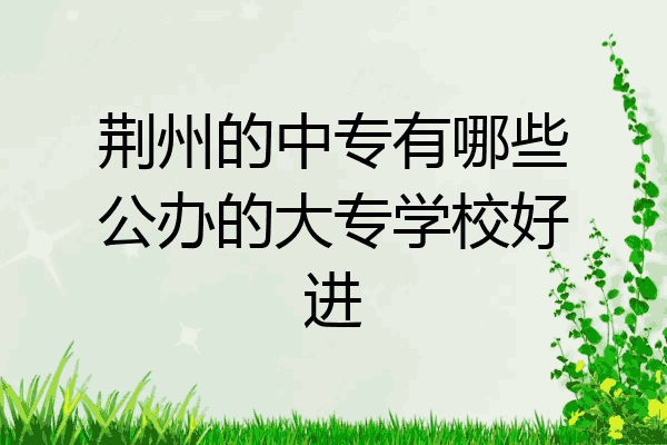 荆州的中专有哪些公办的大专学校好进