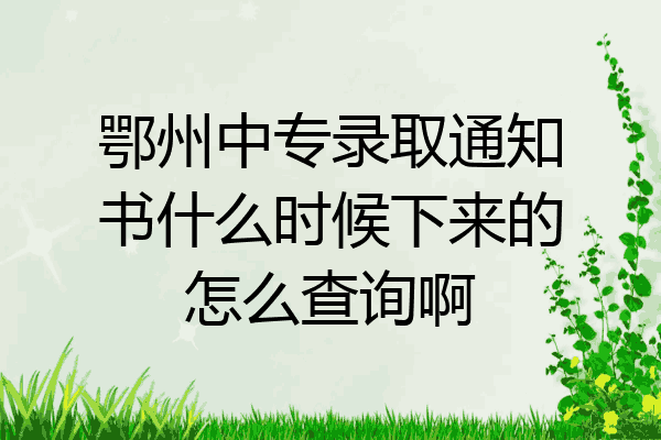 鄂州中专录取通知书什么时候下来的怎么查询啊