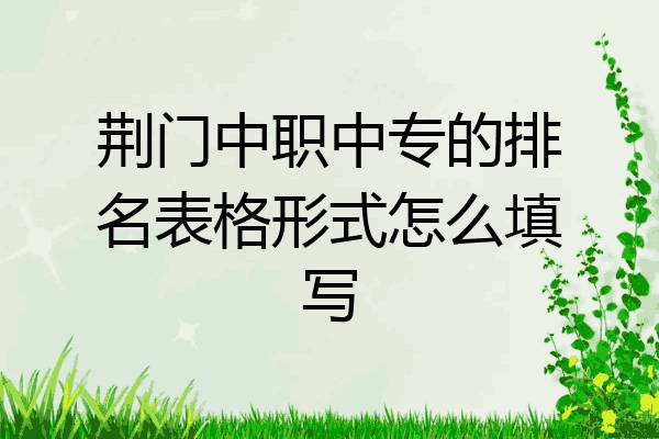 荆门中职中专的排名表格形式怎么填写