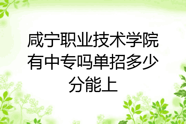 咸宁职业技术学院有中专吗单招多少分能上