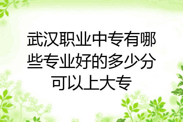 武汉职业中专有哪些专业好的多少分可以上大专