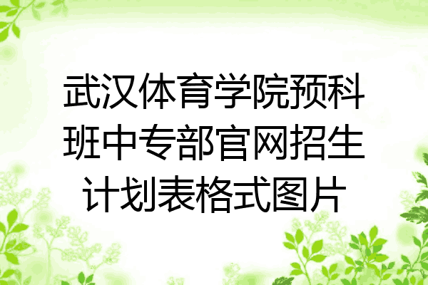 武汉体育学院预科班中专部官网招生计划表格式图片