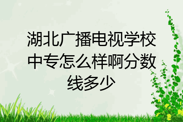 湖北广播电视学校中专怎么样啊分数线多少