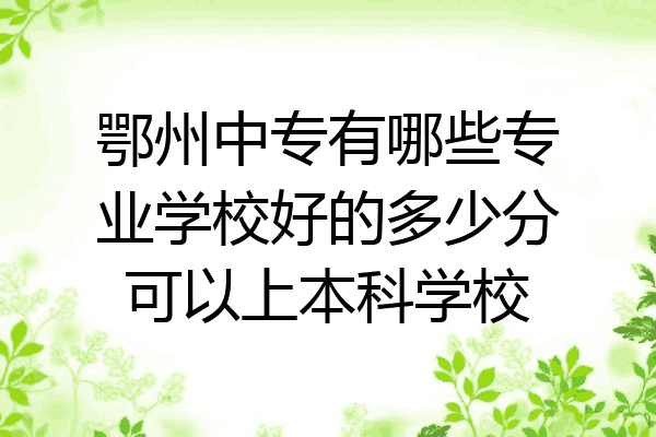 鄂州中专有哪些专业学校好的多少分可以上本科学校
