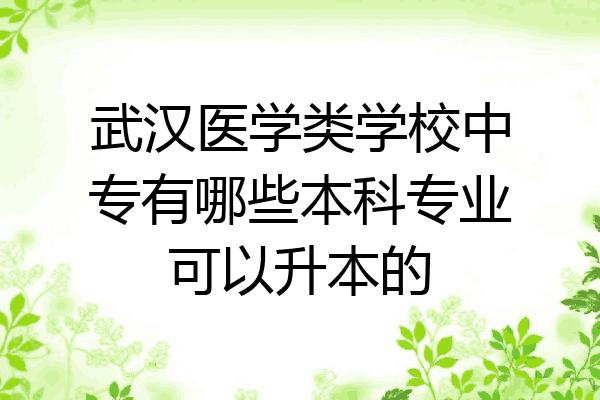 武汉医学类学校中专有哪些本科专业可以升本的