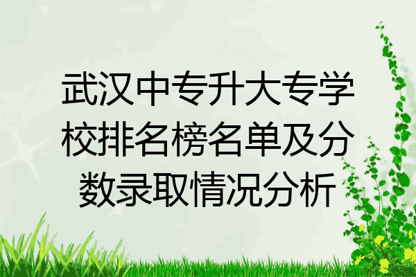 武汉中专升大专学校排名榜名单及分数录取情况分析