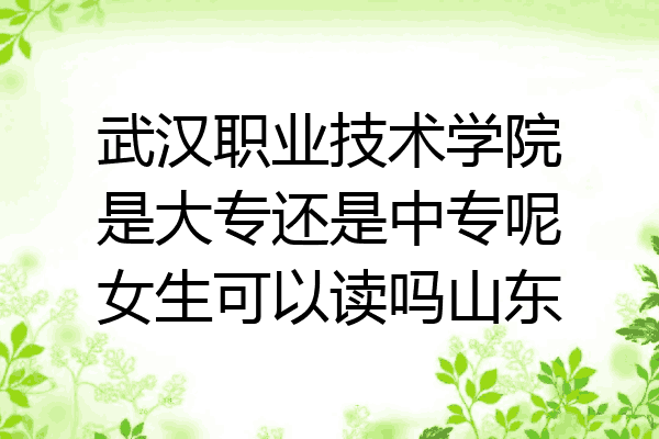 武汉职业技术学院是大专还是中专呢女生可以读吗山东