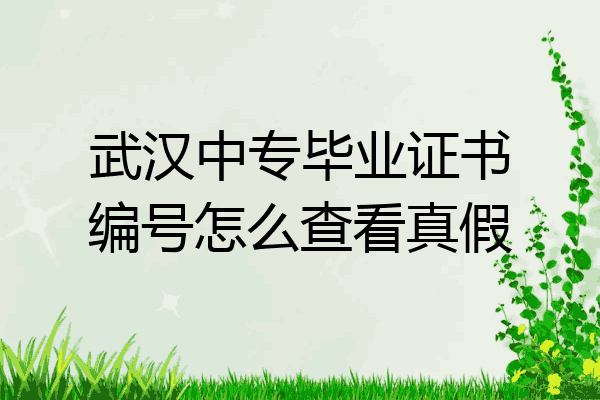 武汉中专毕业证书编号怎么查看真假