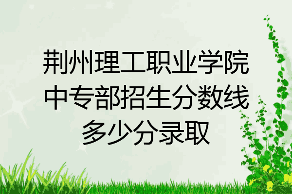荆州理工职业学院中专部招生分数线多少分录取