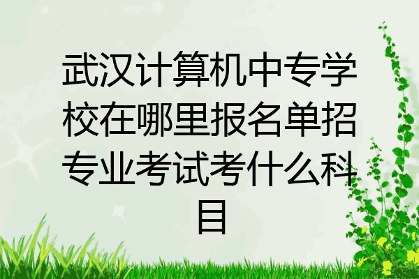 武汉计算机中专学校在哪里报名单招专业考试考什么科目