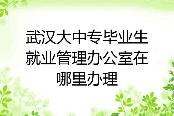 武汉大中专毕业生就业管理办公室在哪里办理