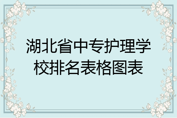 湖北省中专护理学校排名表格图表