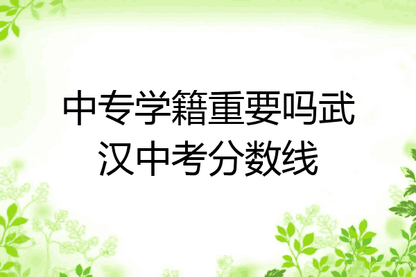 中专学籍重要吗武汉中考分数线