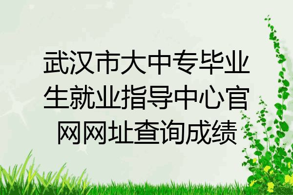 武汉市大中专毕业生就业指导中心官网网址查询成绩