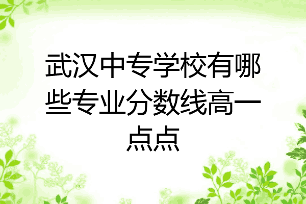 武汉中专学校有哪些专业分数线高一点点