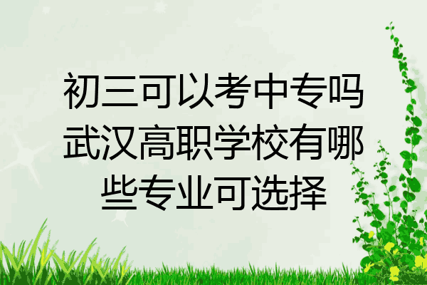 初三可以考中专吗武汉高职学校有哪些专业可选择