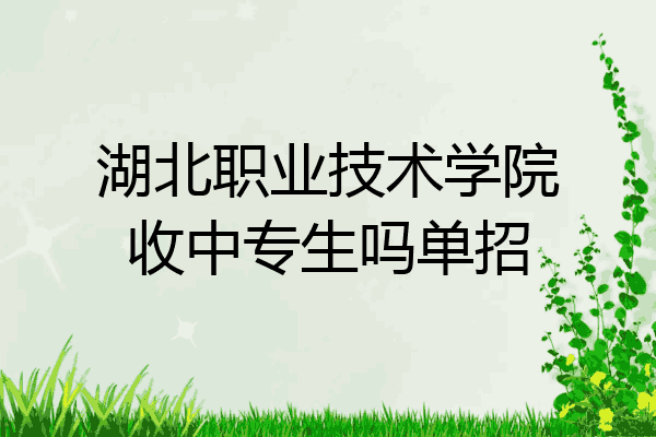 湖北职业技术学院收中专生吗单招