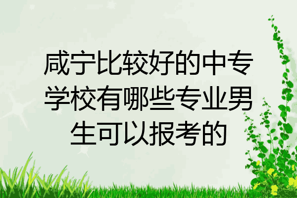 咸宁比较好的中专学校有哪些专业男生可以报考的