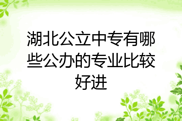 湖北公立中专有哪些公办的专业比较好进