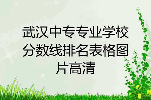 武汉中专专业学校分数线排名表格图片高清