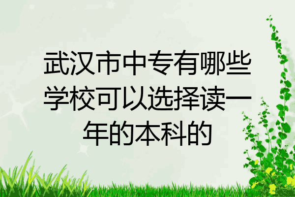 武汉市中专有哪些学校可以选择读一年的本科的