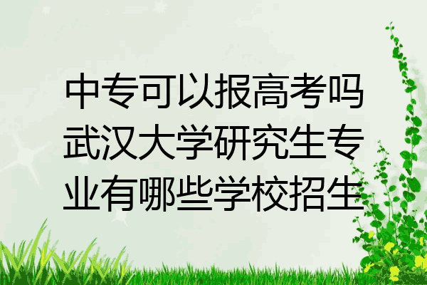中专可以报高考吗武汉大学研究生专业有哪些学校招生