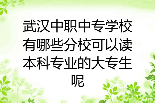武汉中职中专学校有哪些分校可以读本科专业的大专生呢