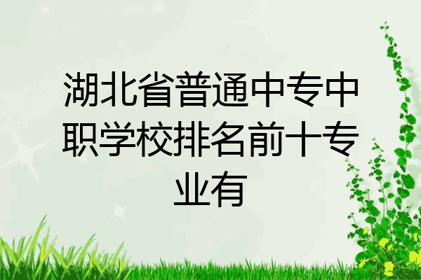 湖北省普通中专中职学校排名前十专业有