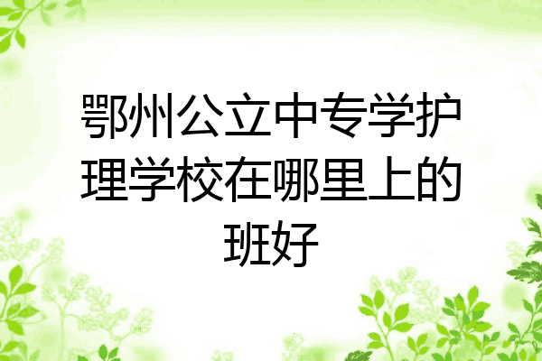 鄂州公立中专学护理学校在哪里上的班好