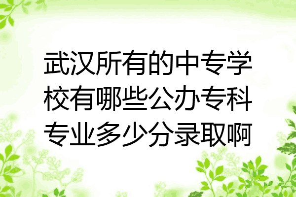 武汉所有的中专学校有哪些公办专科专业多少分录取啊