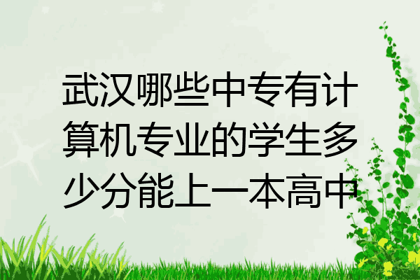 武汉哪些中专有计算机专业的学生多少分能上一本高中
