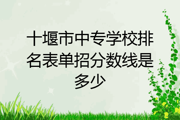 十堰市中专学校排名表单招分数线是多少