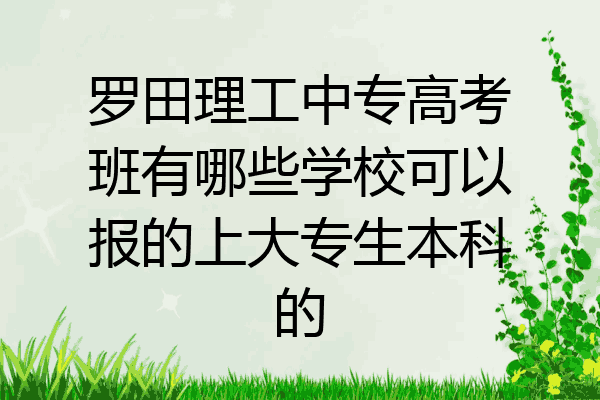 罗田理工中专高考班有哪些学校可以报的上大专生本科的