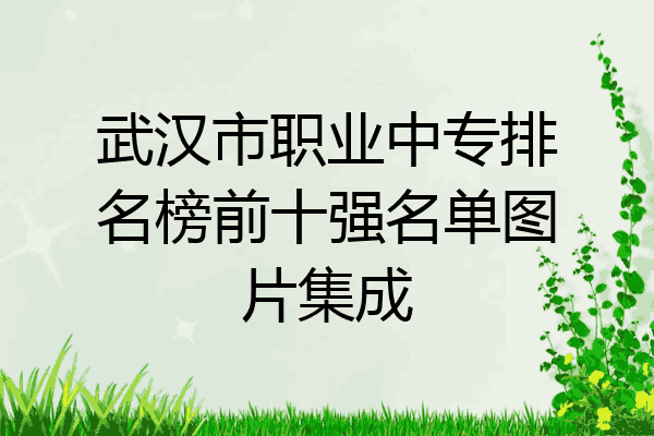武汉市职业中专排名榜前十强名单图片集成