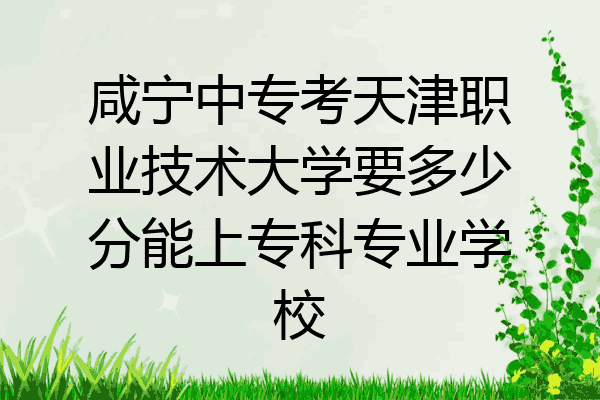 咸宁中专考天津职业技术大学要多少分能上专科专业学校