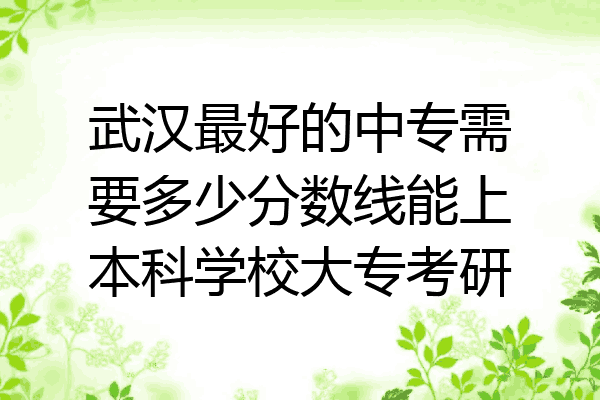 武汉最好的中专需要多少分数线能上本科学校大专考研