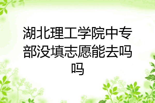 湖北理工学院中专部没填志愿能去吗吗