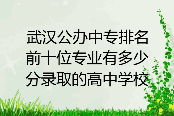 武汉公办中专排名前十位专业有多少分录取的高中学校