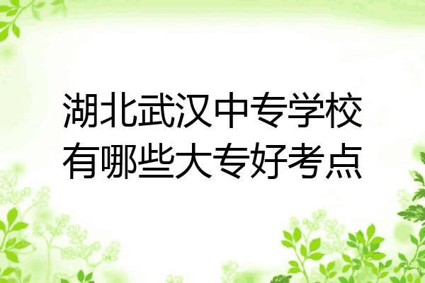 湖北武汉中专学校有哪些大专好考点