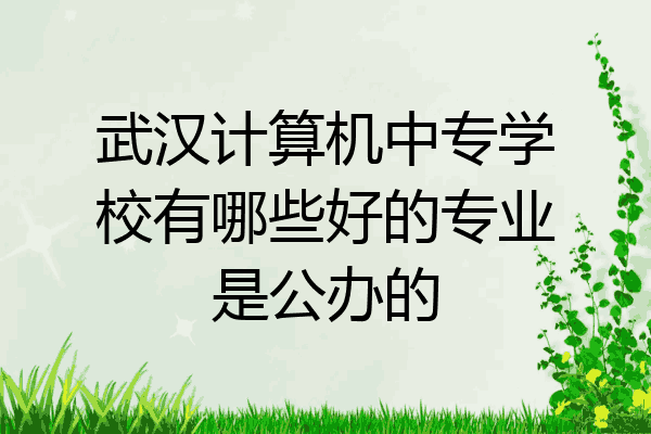 武汉计算机中专学校有哪些好的专业是公办的